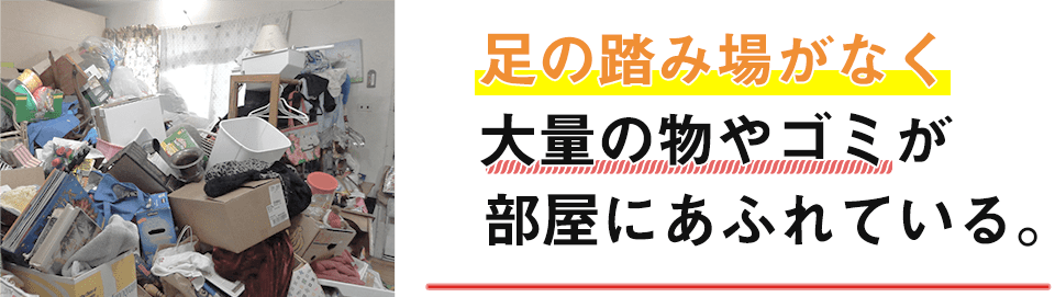 足の踏み場がなく、大量の物やゴミが部屋にあふれている。