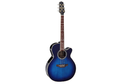 Takamine アコースティックギター DMP552C 2020
