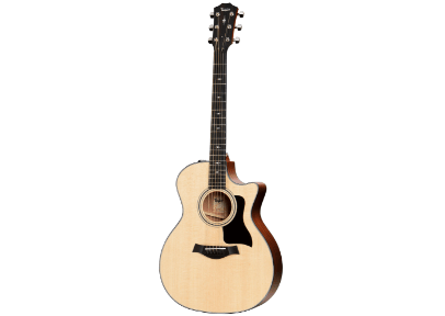 Taylor アコースティックギター 314ce V-Class